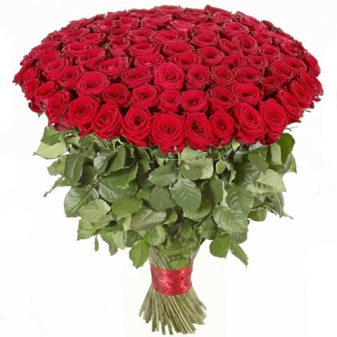 101 роза до любима жена