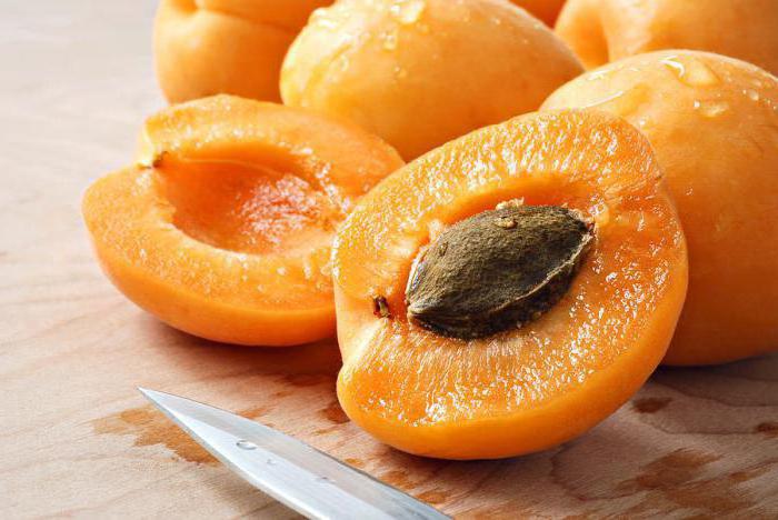 popis odrůdy meruňkové lel
