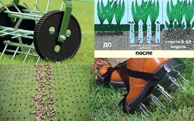 Do-it-yourself lawn aeration in different ways