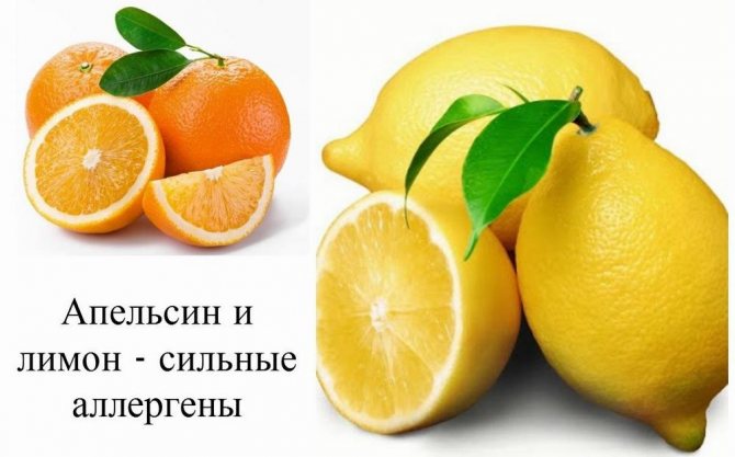 Allergy to lemon