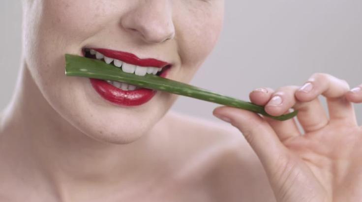 Aloe for dental health