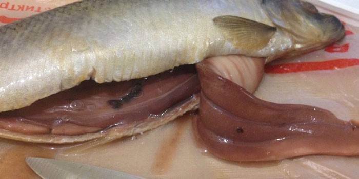 Anisakid dalam herring