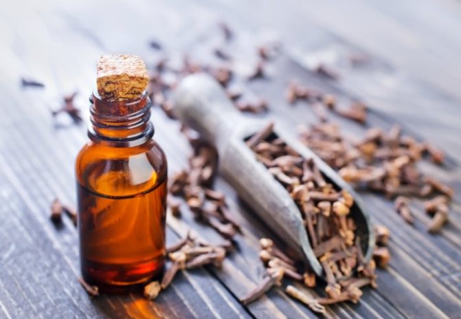 The scent of clove oil acts as a mild soothing, helps to normalize the heart rate and stabilize blood pressure
