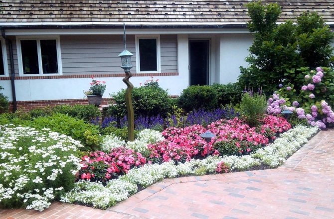 Asymmetrisk blomsterrabatt framför husets ingång