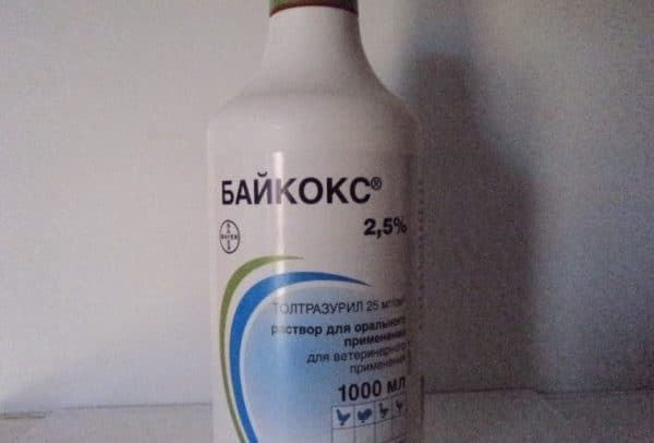Baycox är ett effektivt läkemedel för förebyggande och behandling av koccidios