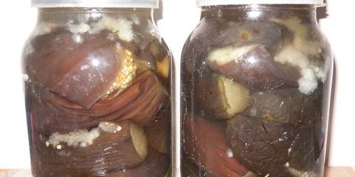 Inasnan ang mga eggplants na may bawang sa mga garapon