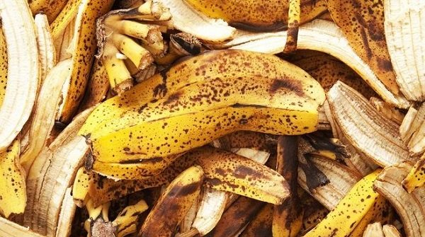 Banana peels against insects