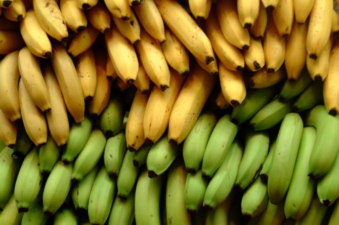 الموز الأصفر والأخضر