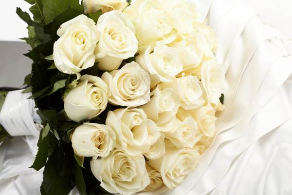 الورود البيضاء المعنى