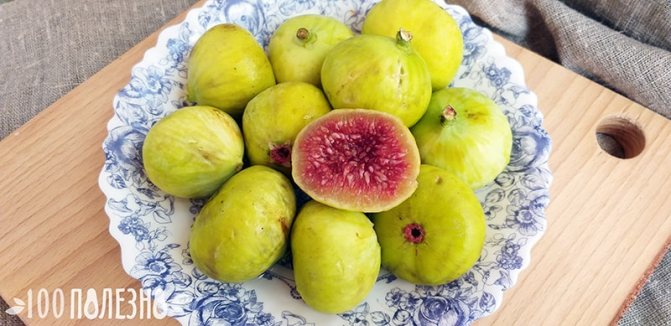 White figs photo