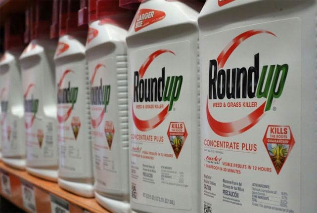 Roundup safety