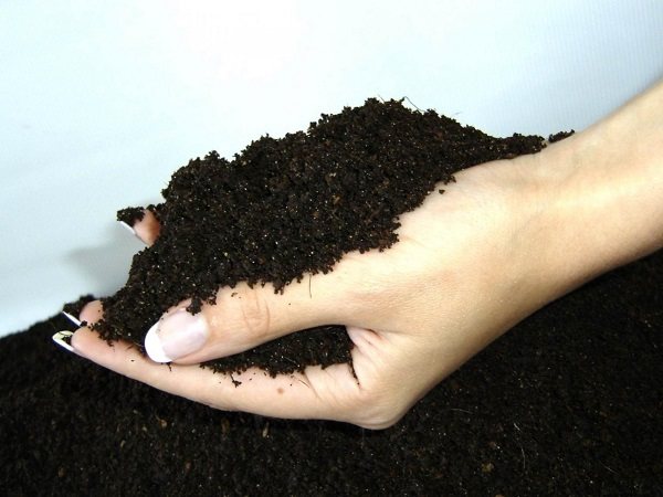 Vermicompost - organic fertilizer
