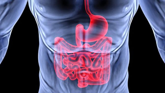 boli ale tractului gastro-intestinal
