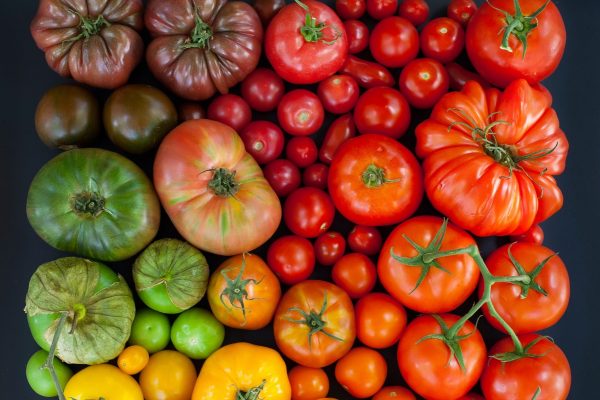 Голям избор от сортове домати