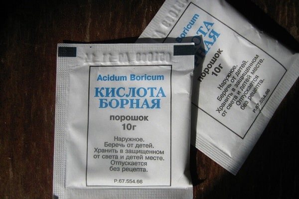 Acidul boric - un remediu popular pentru gândaci, cel mai eficient dintre analogi