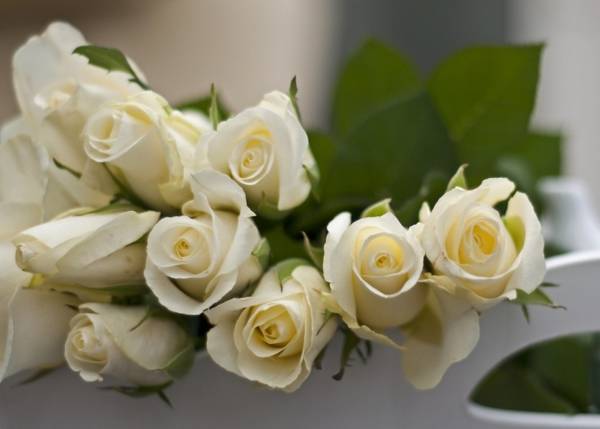 En bukett med vita rosor uttrycker beundran, omsorg, uppriktiga och varma känslor