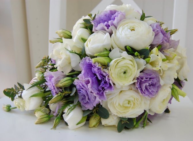The bouquet of flowers consists of: snow-white ranunculus, white freesia of a warm shade, lilac eustoma, eucalyptus, asparagus.