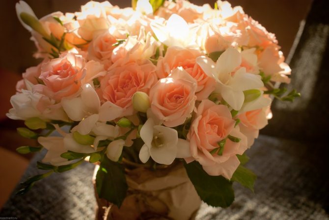 باقة من الورود الوردية بالرش والفريزيا البيضاء في إناء غير عادي.