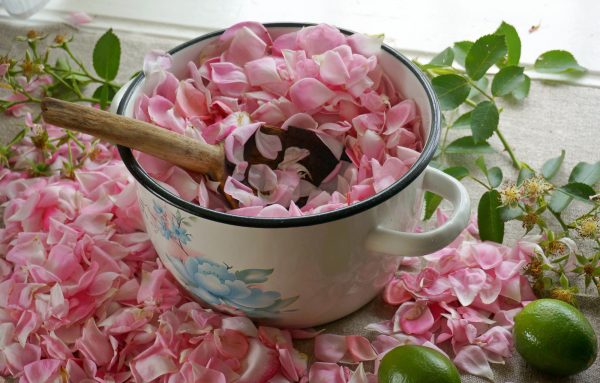 Tea rose är bra för din hälsa