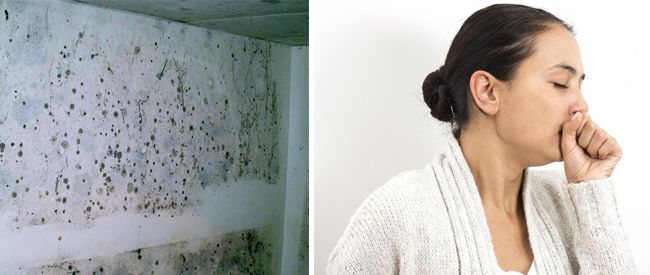It is extremely dangerous for humans to inhale mold spores.