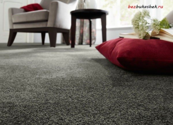 Как да лекуваме килим, за да се отървем от килимовите бълхи у дома?