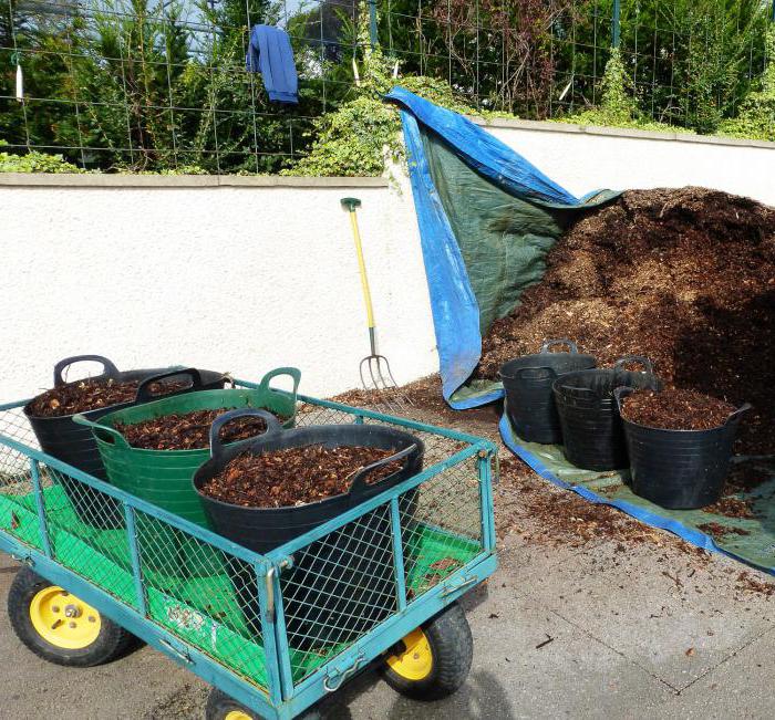 How to cultivate the soil in autumn