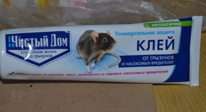 How to wash glue for mice from hands, floors, furniture, fabrics, animal hair
