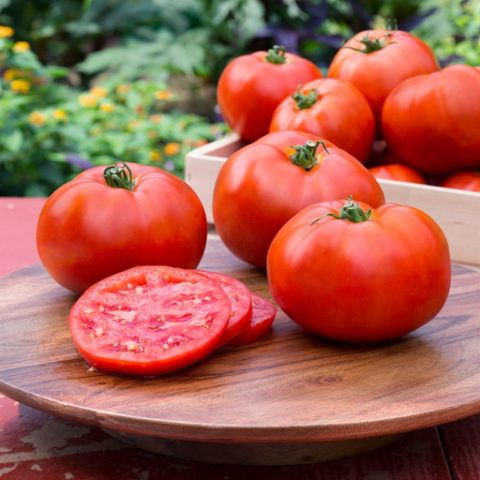 How to feed tomatoes after planting in a greenhouse - choose wisely