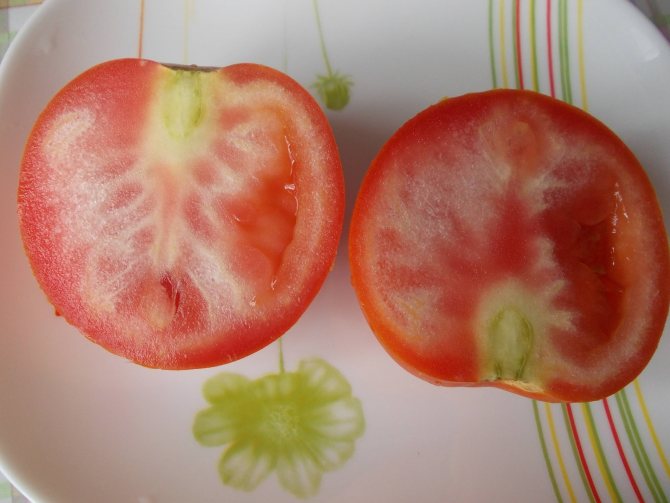 hur man matar tomater i juli i ett växthus