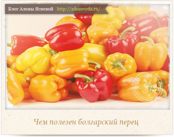 Varför är bulgarisk peppar användbar?