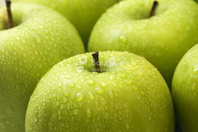 Как са полезни ябълките за деца и възрастни?