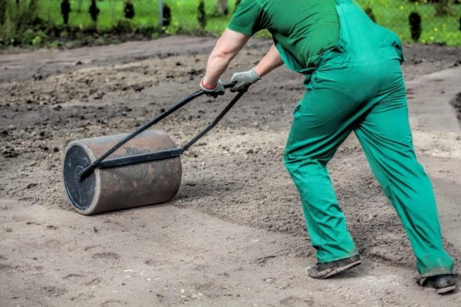 как да трамбовате земята под тревата