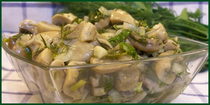 How long can pickled and salted milk mushrooms be eaten?