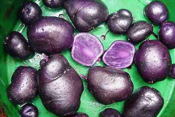 black potatoes inside