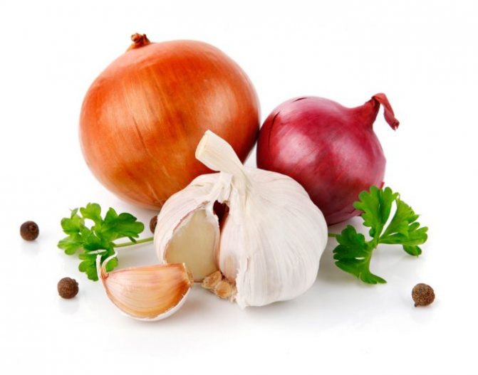 equal parts garlic and onion