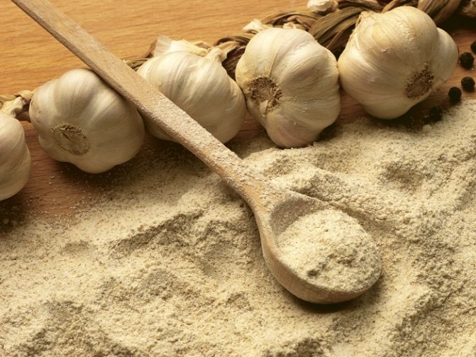 Garlic is not a simple substitute for colloidal sulfur, but an improved one. It contains essential oils and phytoncides that are not present in the chemical.