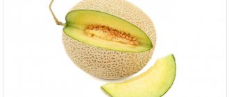 What to do if the melon is not ripe: storage rules for ripening fruits and tips for choosing