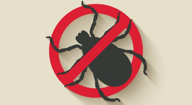 What not to do after a tick bite