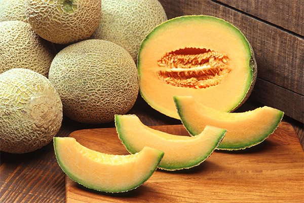 Vad kan tillagas från melon