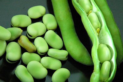 Apa itu kacang? Bagaimana menanam tanaman seperti itu dan apakah khasiatnya yang bermanfaat?