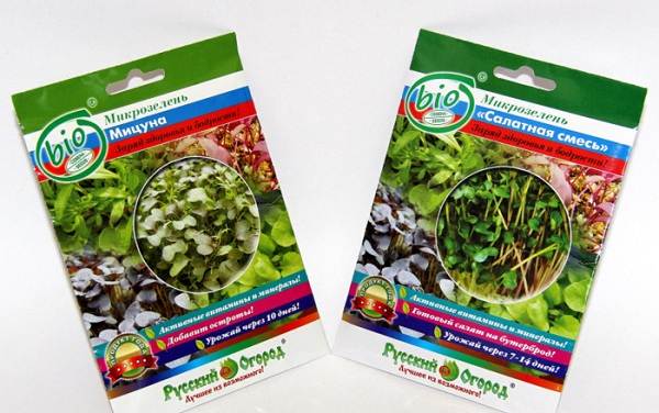 What-is-microgreens-Description-features-cultivation-and-useful-properties-12