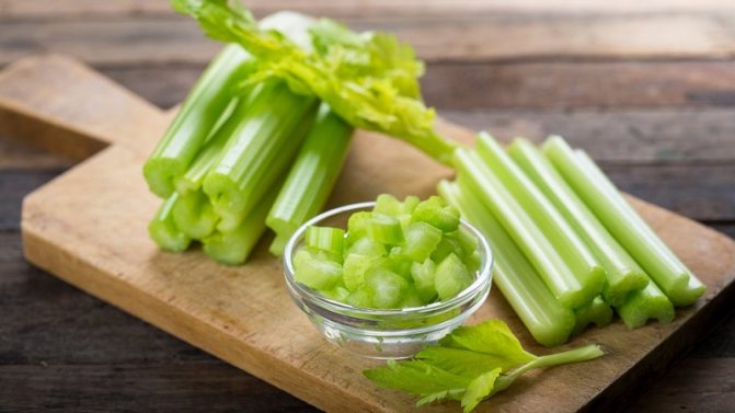 What is celery: an overview, rules of use and cultivation technology