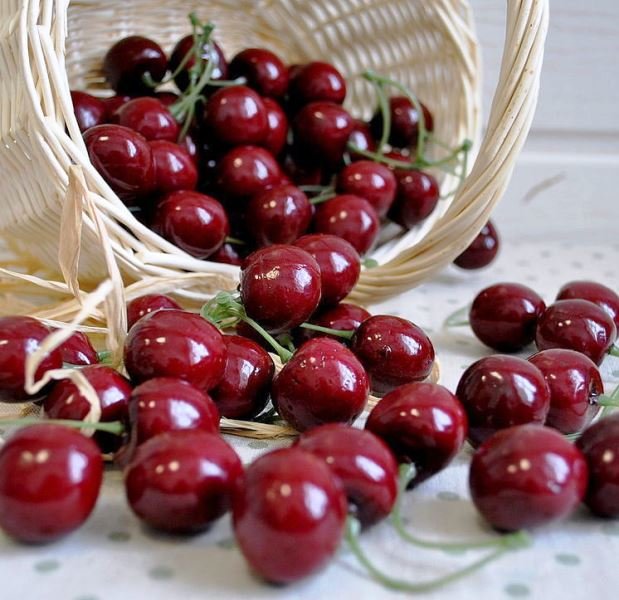 himalang cherry