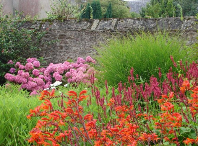 Цветна градина пред къщата в естествен стил