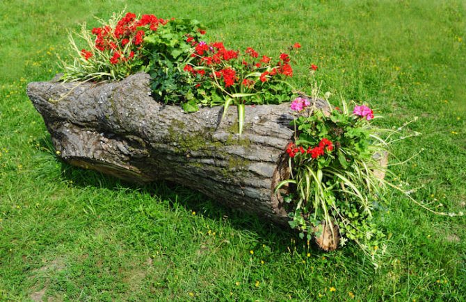 Do-it-yourself flower bed made of logs