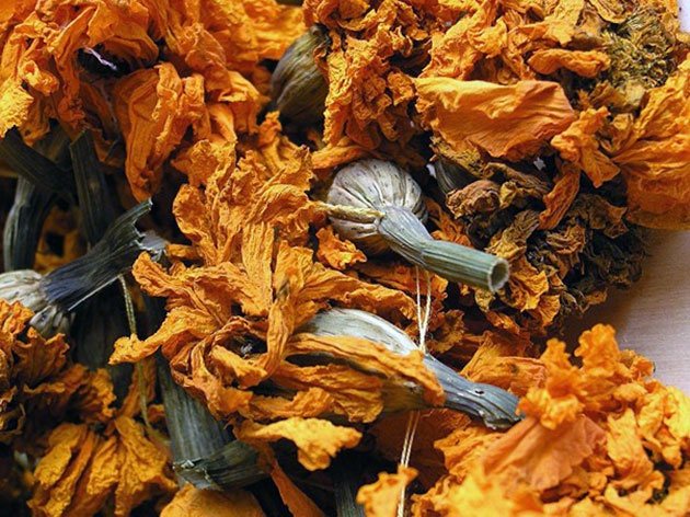 Flowers and flower beds: Dried marigold buds