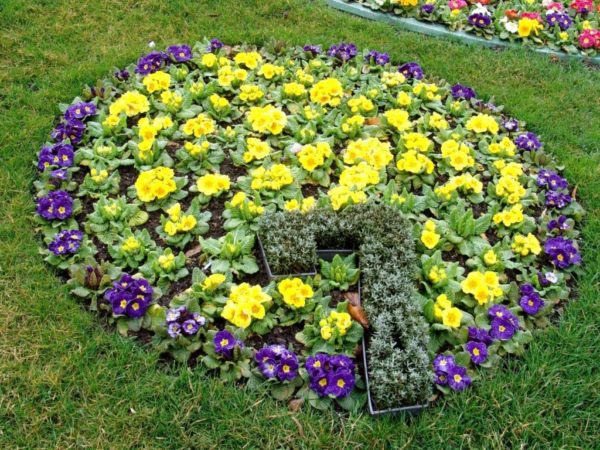 Decorative flower bed