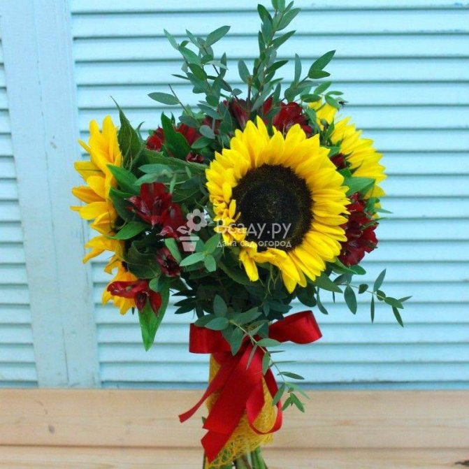 Декоративни слънчогледи - снимка на букет
