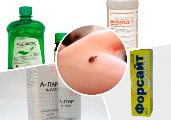 Dichlorvos from lice and nits: can reviews be taken out and how to poison, how much to keep, does it kill all lice and does it help to get rid of completely