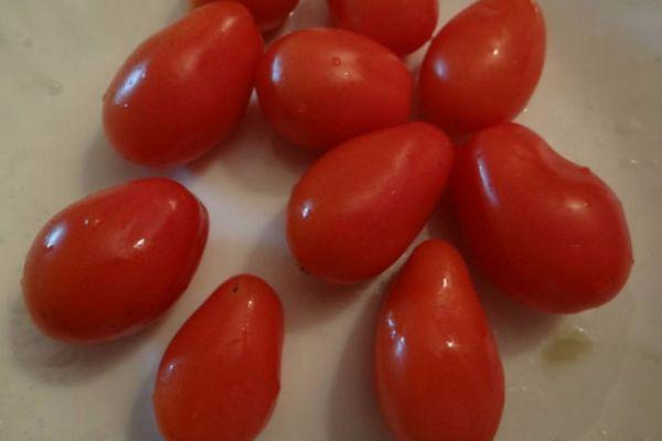 Long-fruited tomatoes